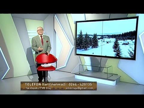 VINE CLUJU' PE LA NOI, 11 ianuarie 2026