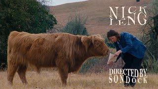 Nick Leng – “Beetlebugs”