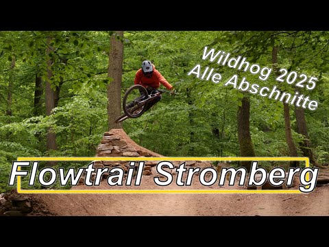 Bester Flowtrail Deutschlands!!! || Flowtrail Stromberg 2025  || Wildhog || Alle Abschnitte