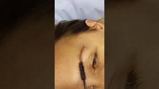 Healed Eyebrows Microblading by El Truchan at Perfect Definition