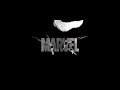 Columbia TriStar Film Distributors Marvel Entertainment The Punisher