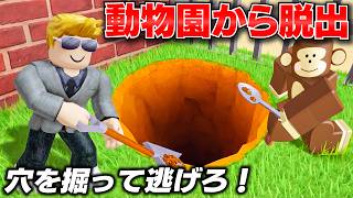 【ROBLOX】動物園に閉じ込められたトレバー！動物園から脱出できるのか？穴を掘り続けた結果…！警備員にバレる前に秘密の下水道へ逃げろ！ロブロックス実況【ほぅ】