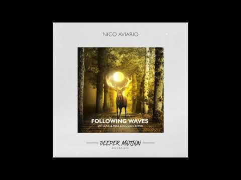 Nico Aviario - Following Waves (Original Mix)