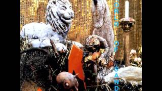 The Cake Kitchen - Walking on Glass