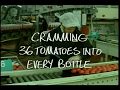All Gold Tomato Sauce 36 Mixed By Paul Baxter