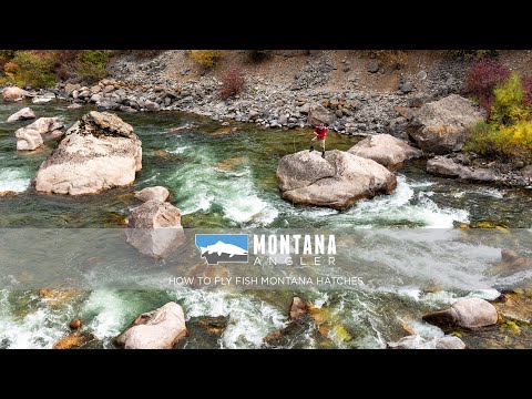 How To Fly Fish Montana Hatches