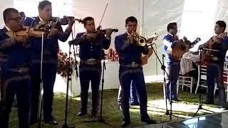 Paloma Negra Mariachi Azteca de México