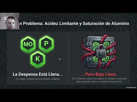 Recomendación para el cultivo de aguacate Hass en Abrego, Norte de Santander 