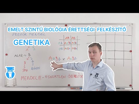Genetika összefoglaló a biosz érettségire - Elit Oktatás Érettségi Felkészítő