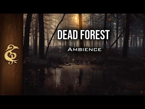Dead Forest | Eerie and Quiet ASMR Ambience | 3 Hours