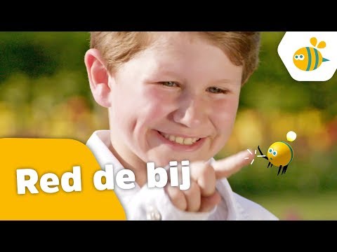 🎵Kinderen voor Kinderen - Red de bij (Officiële videoclip)