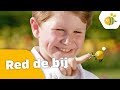 Kinderen voor Kinderen - Red de bij (Officiële videoclip)