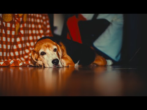 Snoop Going Crazyyyy !!!