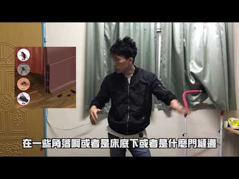 家裡有跳蚤漂白水