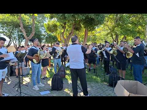 BAMASO - ANIMA NEGRA  [Otto M. Schwarz]  Aquecimento      (NACIONAL 2024)