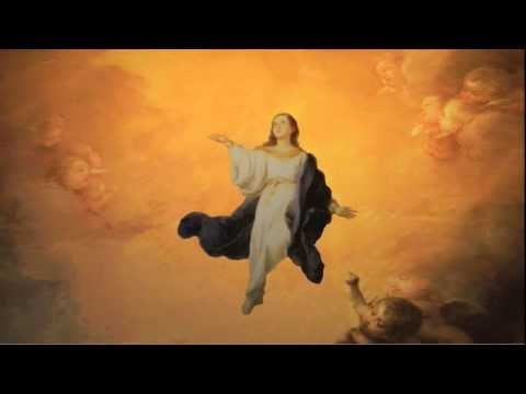 Primetime Nightline - After Effects Graphic