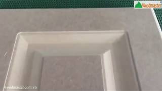 MÁY CHÀ NHÁM XẢ LÓT PANO CỬA 6 TRỤC WOODMASTER WM-1300A2C2P2