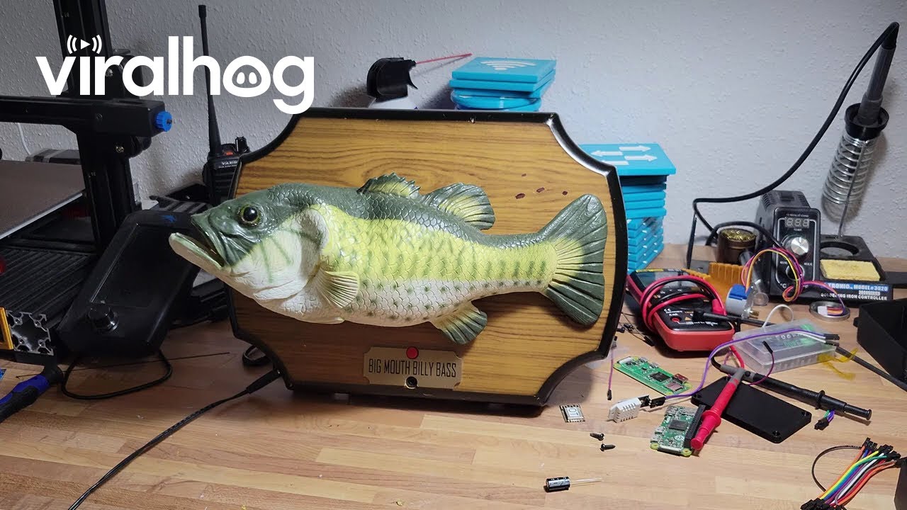 BassGPT on Dial Up || ViralHog