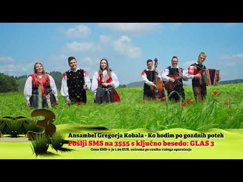 NOVI PREDLOGI GOLICA NAJ: Ansambel Gregorja Kobala - Po gozdnih poteh