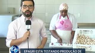 Miniatura do vídeo