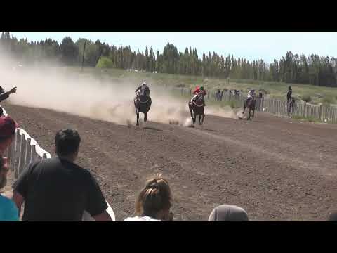 LOCA VICENTA  "Club Hipico Cabo Alarcon" - Picun Leufu - Neuquen - 26-02-2023