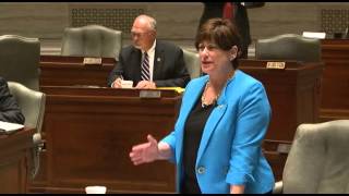 Taxing Commercial Laundries l Senator Jill Schupp l Missouri Policy
