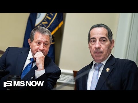 ‘Using position to plunder’: Raskin blasts Trump’s UFC fight over alleged grift