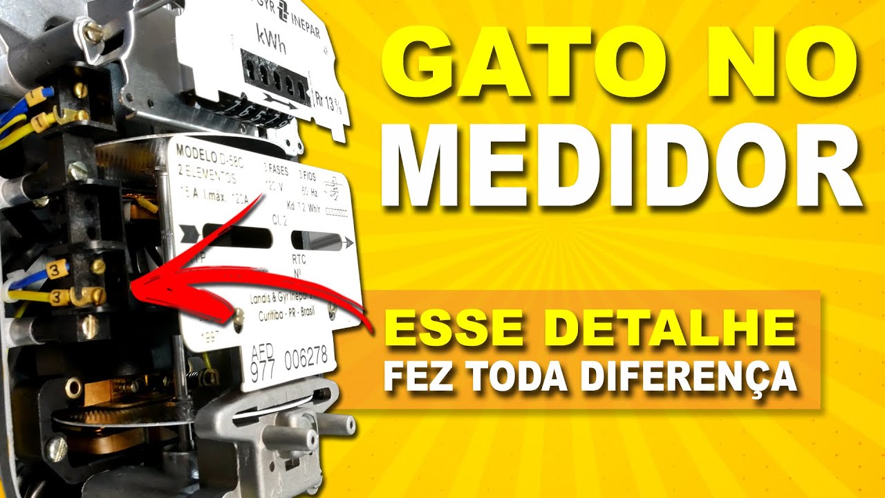 GATO no PADRÃO impossível de descobrir, SQN