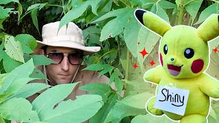 Shiny Hunting in the Safari Zone for Safari Week!