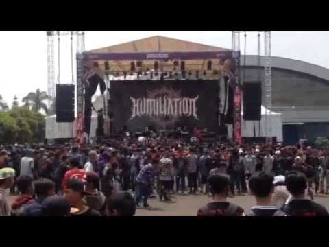 LOSE IT ALL - REBORN