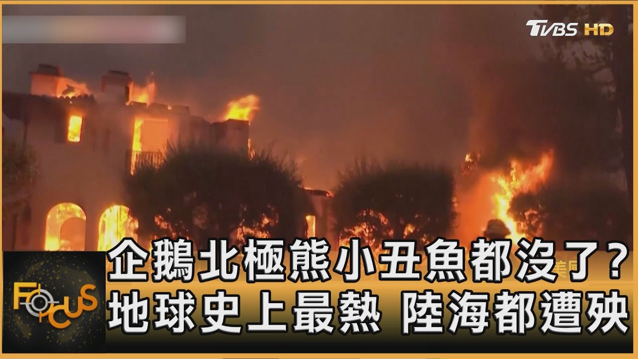 企鵝北極熊小丑魚都沒了?地球史上最熱 陸海都遭殃