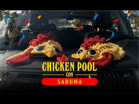 Chicken Pool — video 2