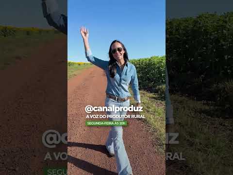 Bastidores do episódio ; produção de girassol , estreia hoje às 20h aqui no Canal Produz !