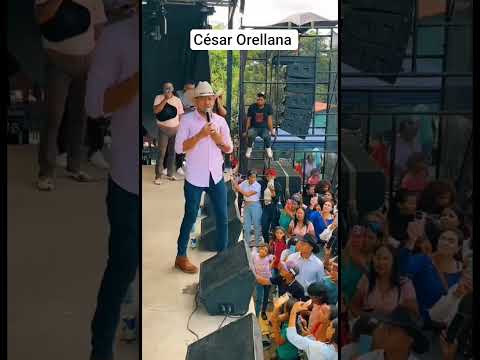 las Mercedes del llano 2025 #musicallanera