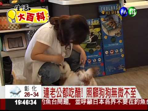 還好有牠作伴 把寵物當兒子養...