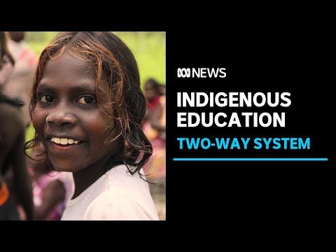 The independent school model held up as the way forward for remote Indigenous education | ABC News
