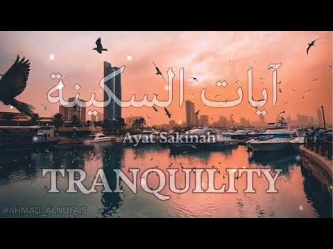 ايات السكينة لدفع القلق والهموم | AYAT OF TRANQUILITY - SAKINAH