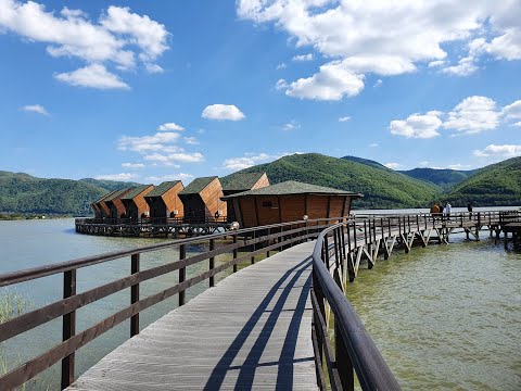 Eselnita Dubova Dunare 2021 - 1440p - Insta360 Go 2