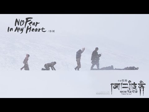 朴树 Pu Shu - No Fear in My Heart［歌词］.... 因为没有草原，就忘了你是马 .... 你卑微的人生，从不曾犯错的，无聊的人生 ....