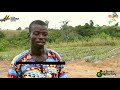 GROW GHANA Petersfield Rey Group Ltd