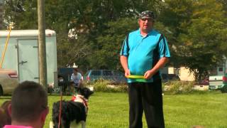 preview picture of video 'Canine Frisbee Dogs'