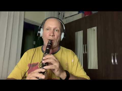 Clarinete com playback hino 244