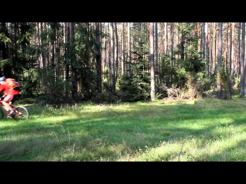 Wideo - Puszcza Augustowska - YouTube