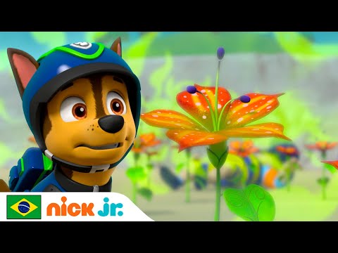 Capa de Patrulha Canina | Os filhotes salvam uma flor fedorenta! | Nick Jr. em Português