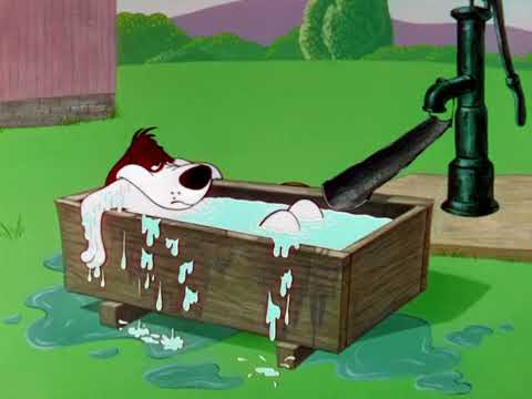 Gophers Vs. That Dawg