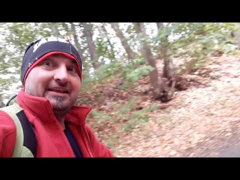 FAT SCOOTER KOSTKA MONSTER