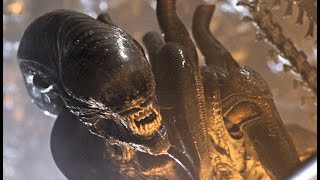 Zero Gravity - Alien Romulus (4K)