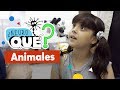 Neuroqué II Animales Canal Pakapaka