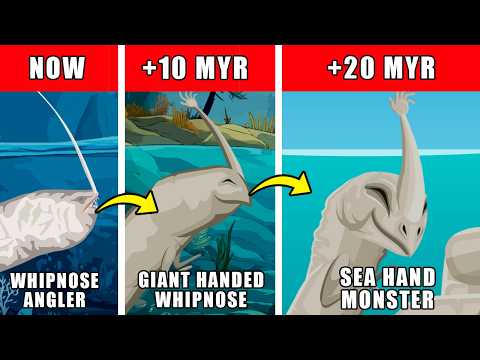 Sea Hand Monster Origin Evolution: How Sea Hand Monster Could Have Evolved