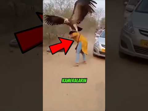 Kameraların Yakaladığı İnanılmaz Hayvan Anları 😱🐾
